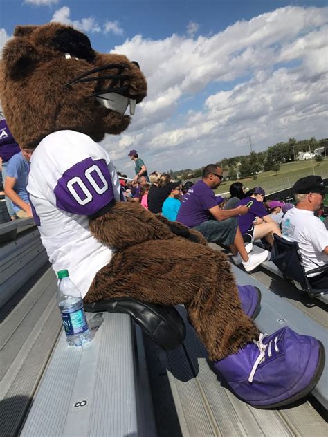 Why Custom Beaver Mascot Apparel is a Game-Changer for Teams